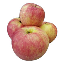 Яблоки Медовые 1/9  КНР