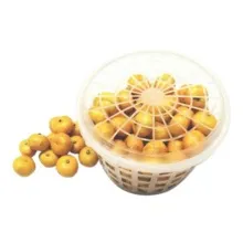 Мандарины в ведерке 1/9 КНР