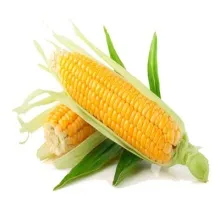 Кукуруза сладкая в/у  450гр 1/12 