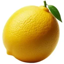 Лимон ЮАР 1/10