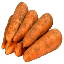 Морковь в земле 1/20