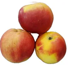 Яблоки Айдарет 1/13