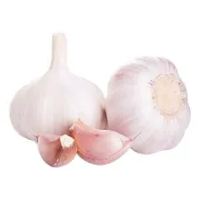 Чеснок 1/10 КНР