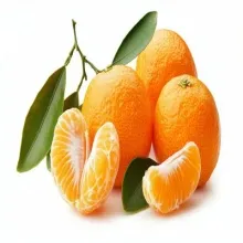 Мандарины на ветке 1/7 КНР