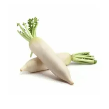 Редька Дайкон 1/10