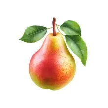 Груша красно-зеленая 1/25 КНР