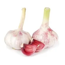 Чеснок свежий крупный 1/25